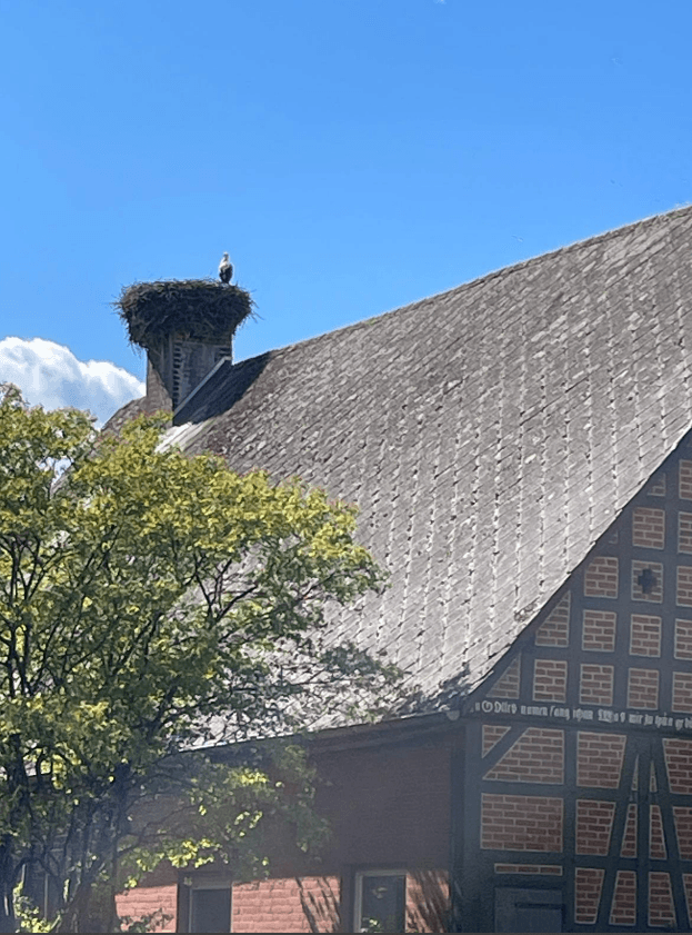 Buchpremiere "Die Buchhändlerin von Königsberg" im Künstlerhof Schreyahn 36 2025 04 28 20 16 53 WhatsApp 1